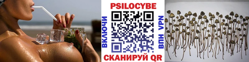 купить   Сясьстрой  darknet состав  Псилоцибиновые грибы Magic Shrooms 